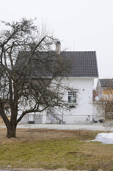 white house with tree and grass