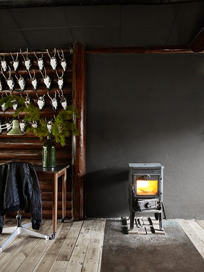 wood burning stove