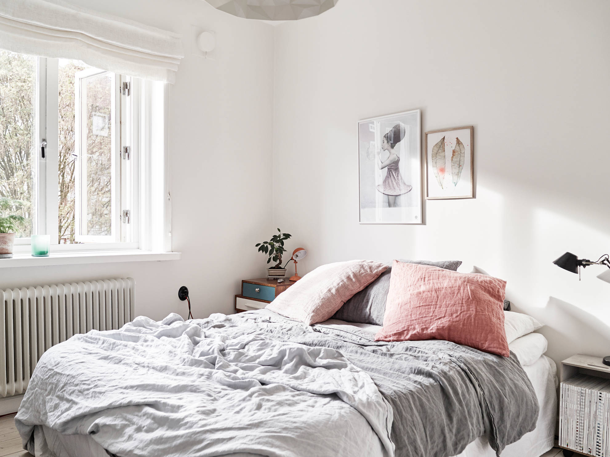 DR20 DR20