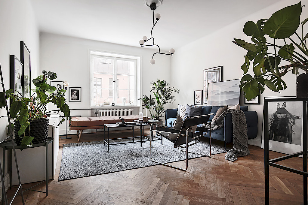 SK5 SK5