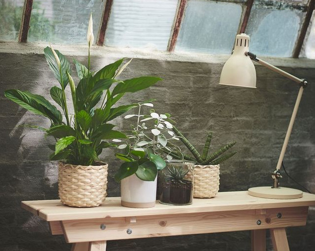 ik