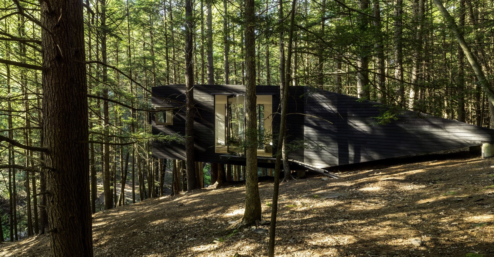 cabane design