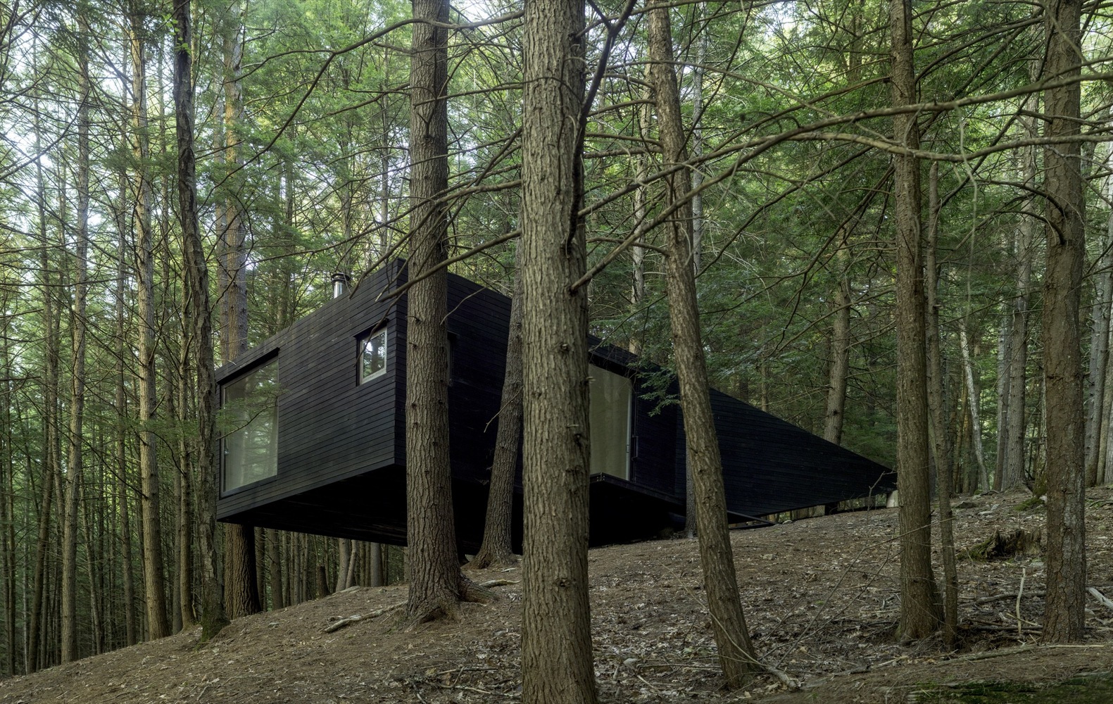 cabane design