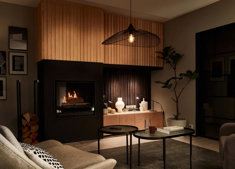 salon avec cheminée salon avec cheminée