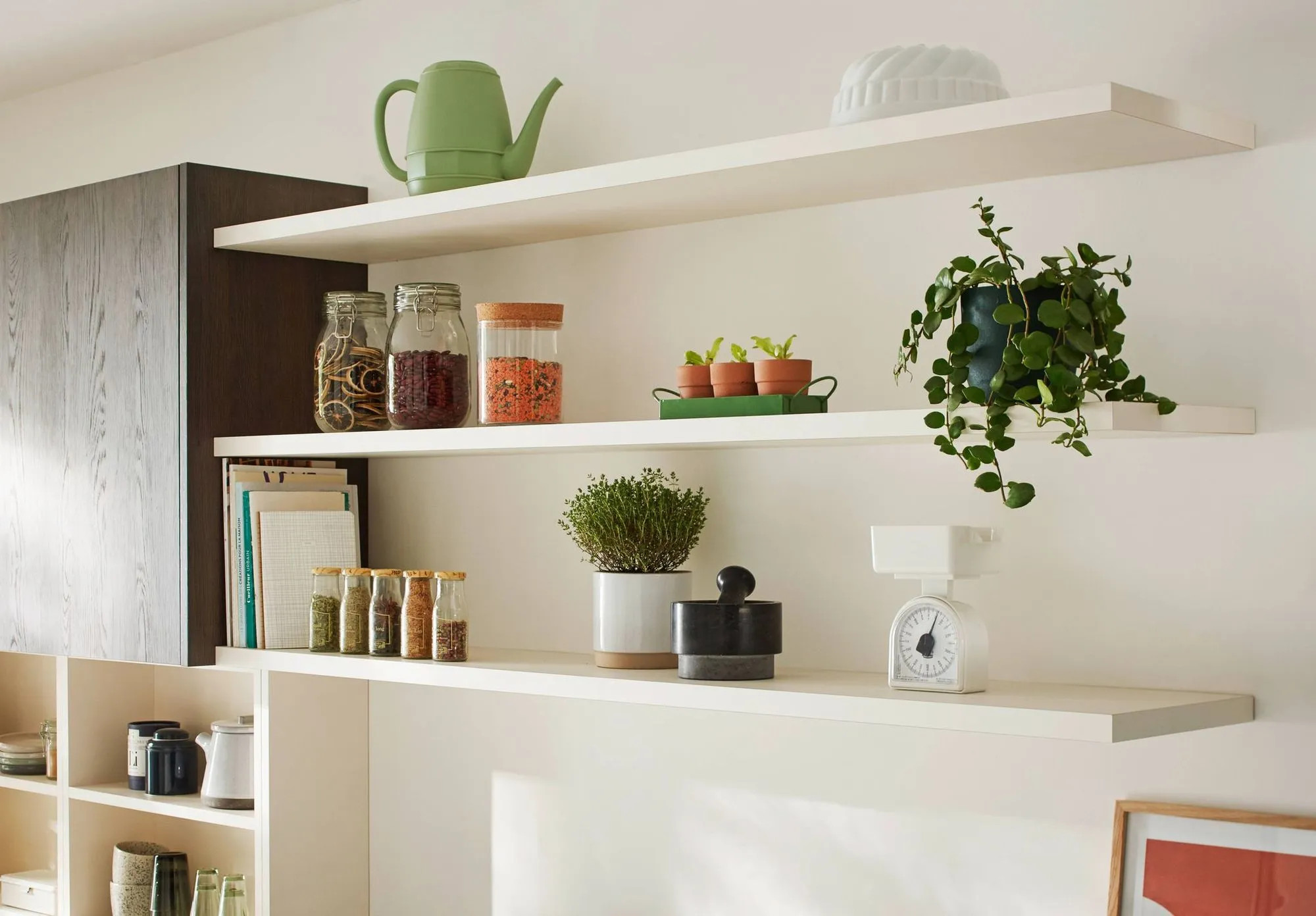 shelfie cuisine