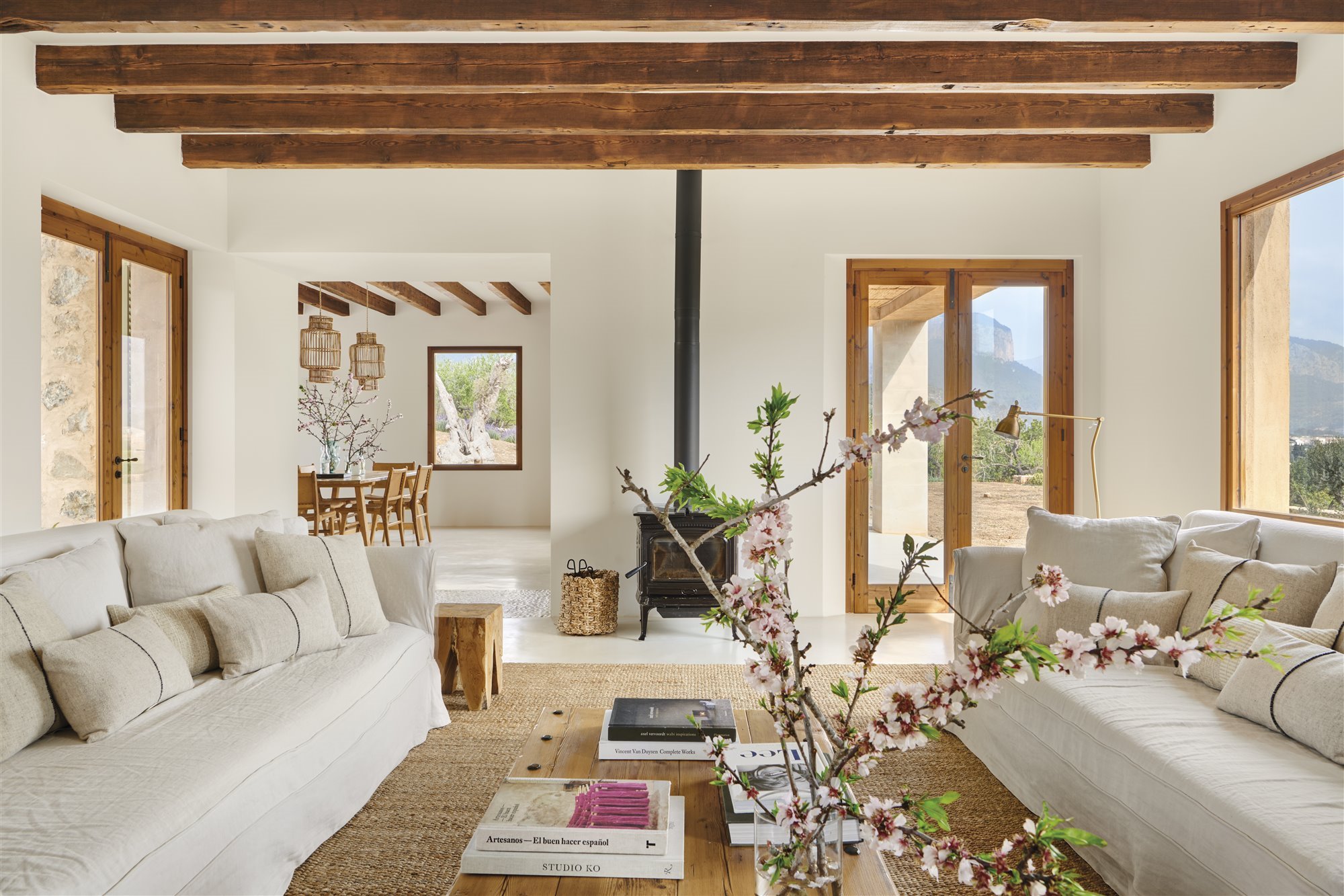 salon maison décoration naturelle