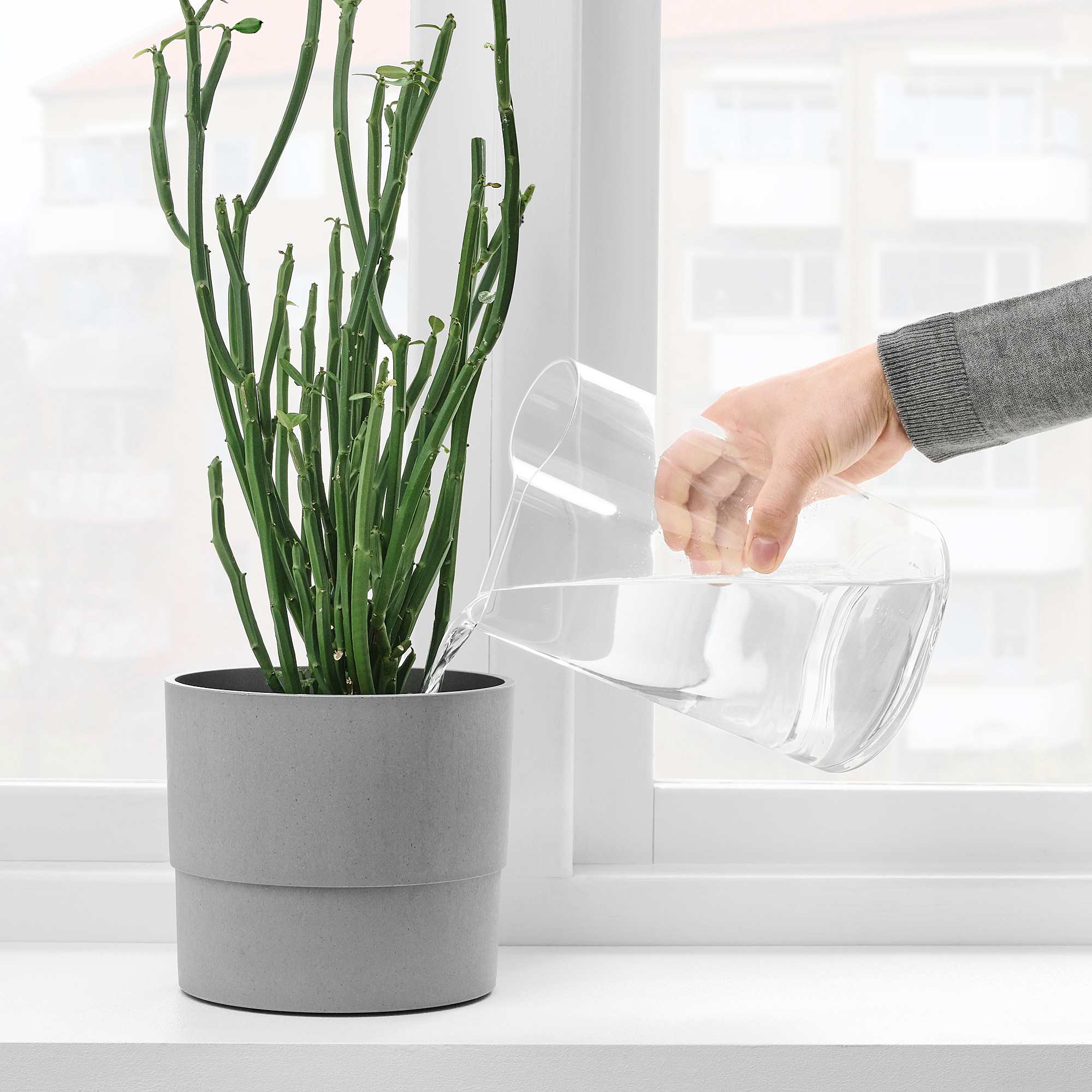 vase arrosoir vase arrosoir