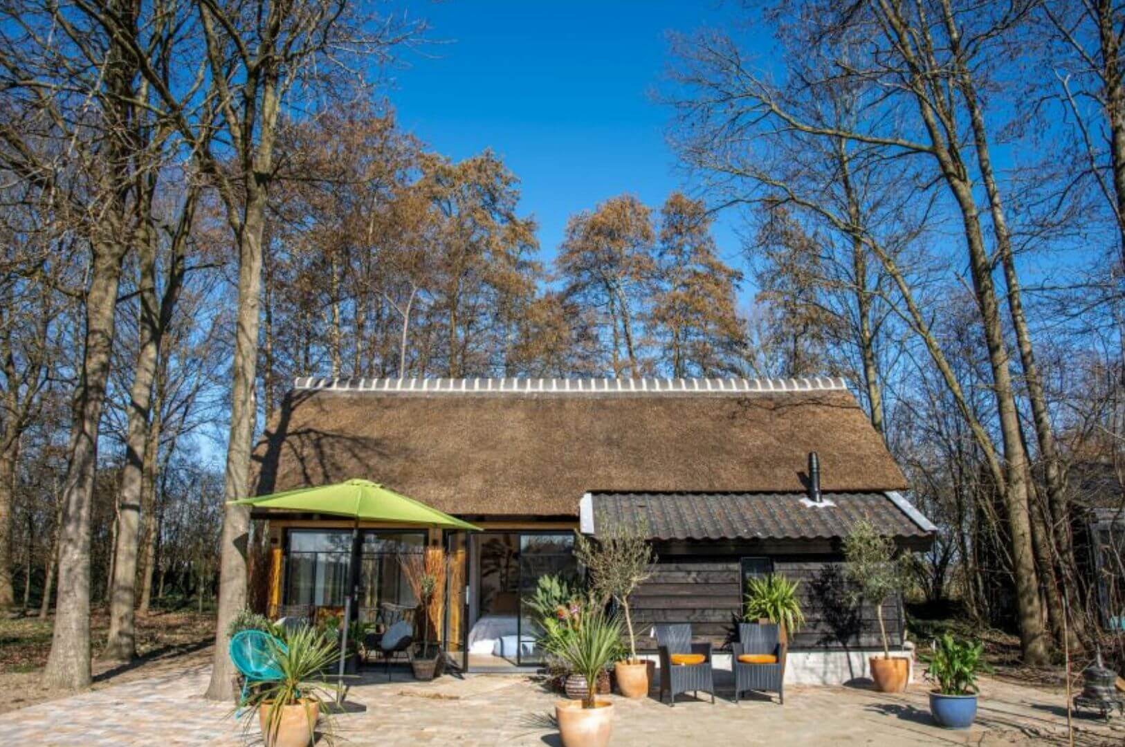 façade maison en bois avec des baies vitrées