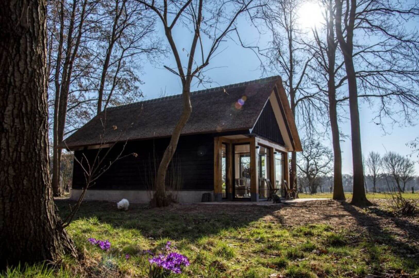 façade maison en bois avec des baies vitrées