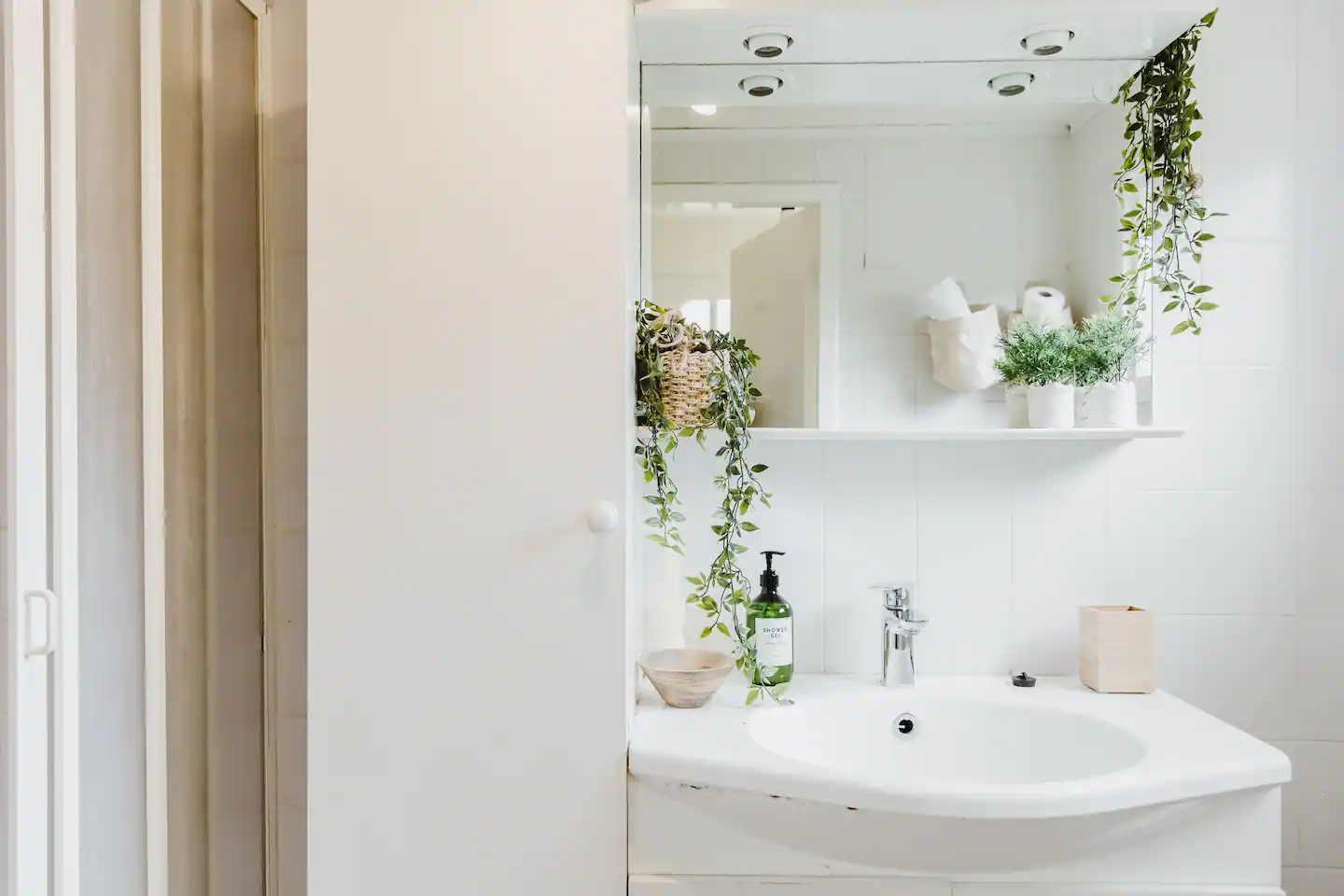 salle de bain blanche et plantes vertes