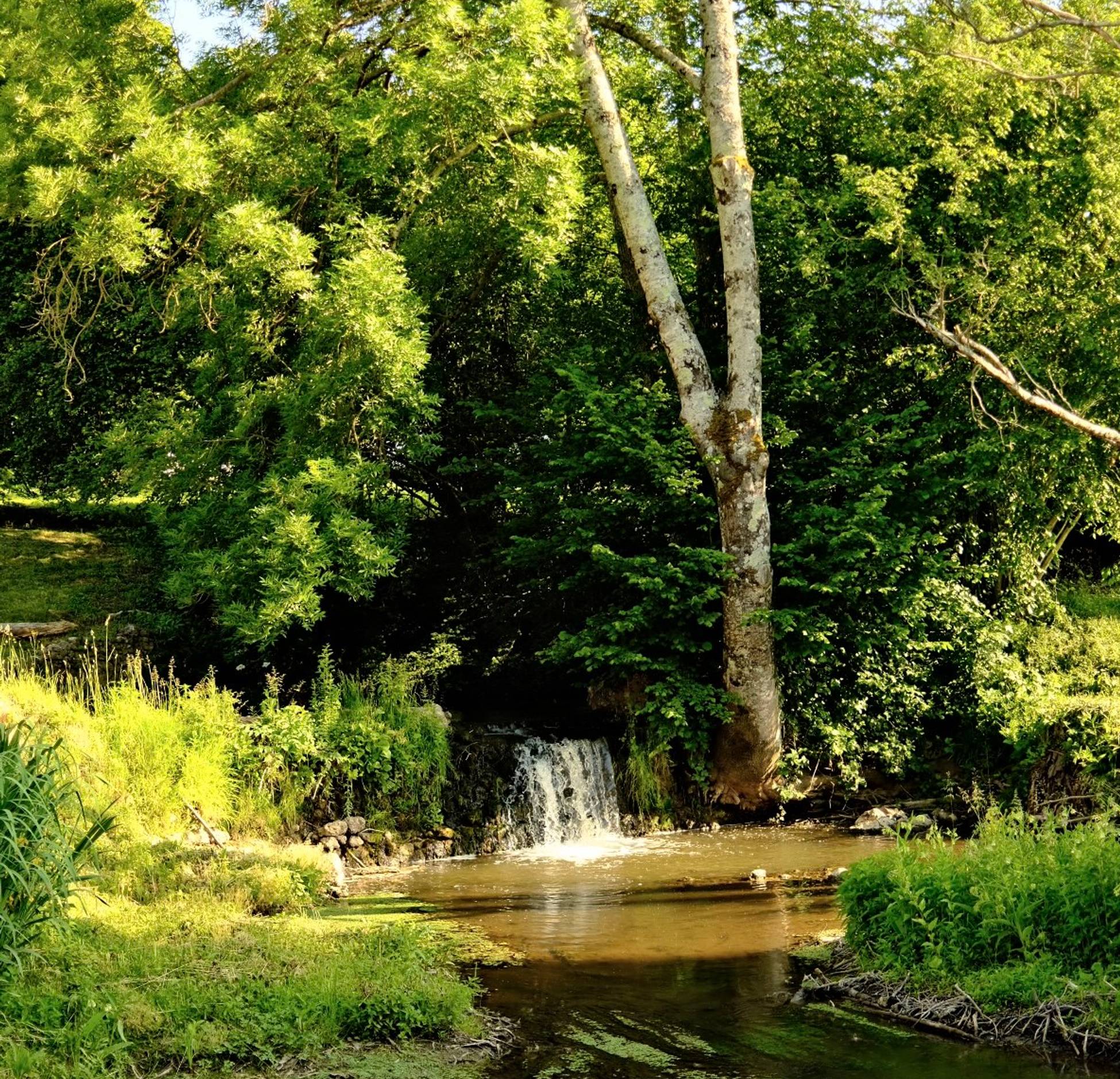 Cours d Cours d'eau le Moulin dans la Sarthe
