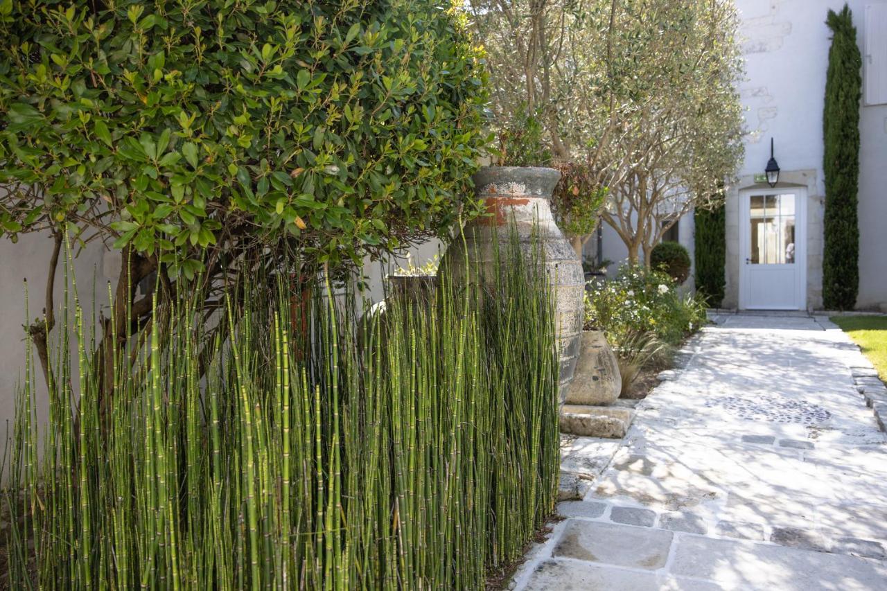 jardin Maison Clarisse Ile de Ré jardin Maison Clarisse Ile de Ré