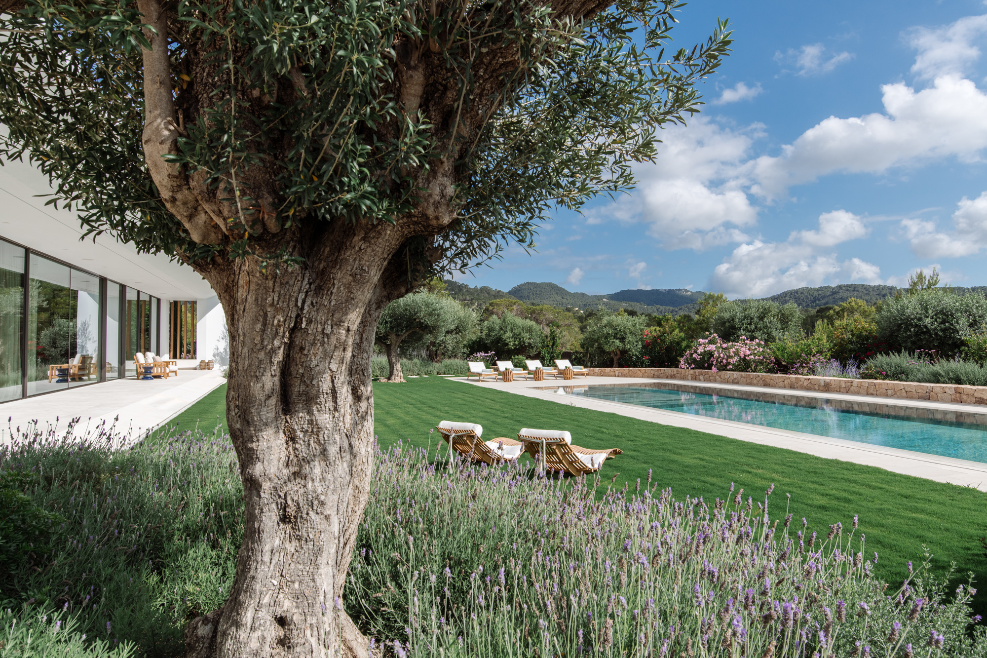 jardin maison Ibiza