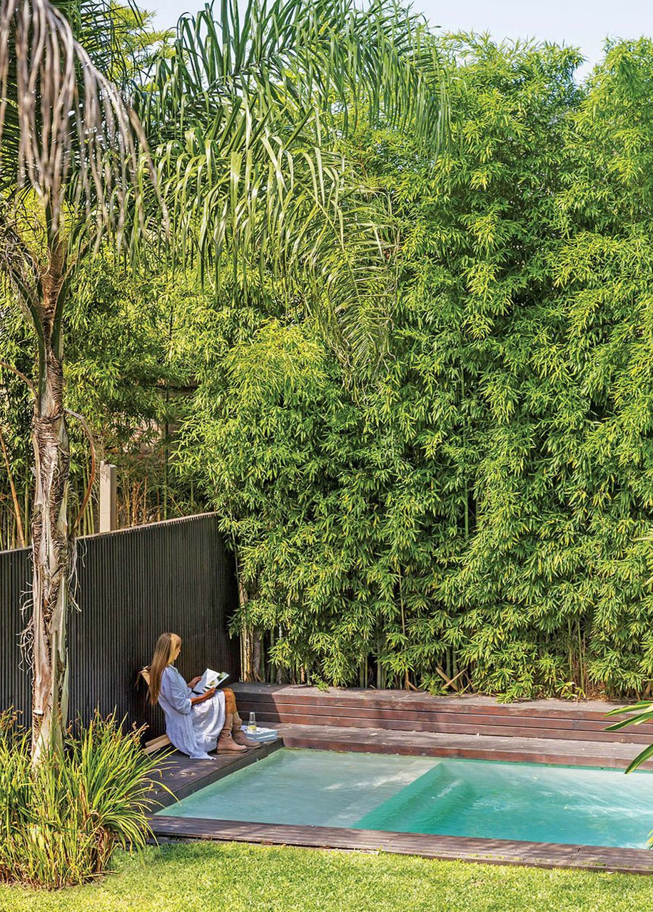 mini piscine dans jardin
