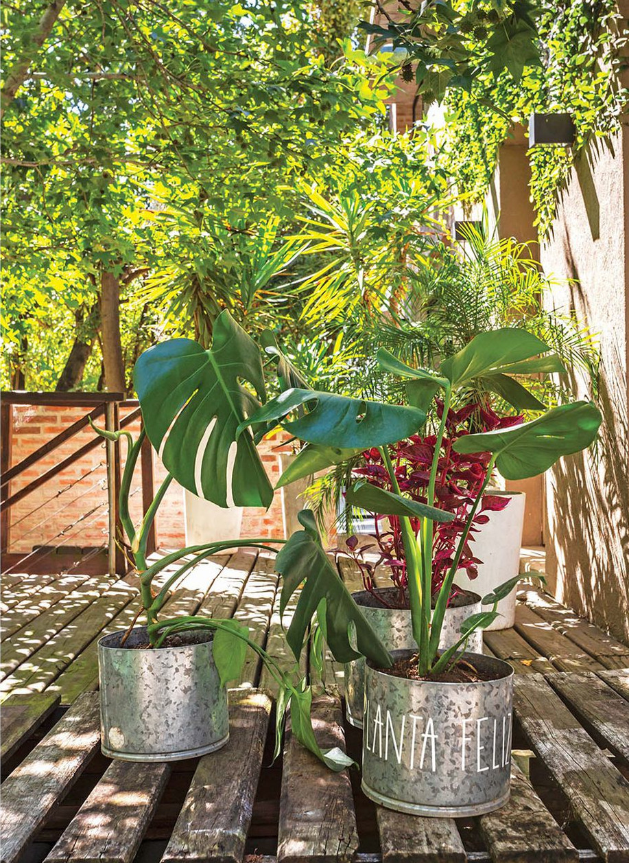 terrasse en bois