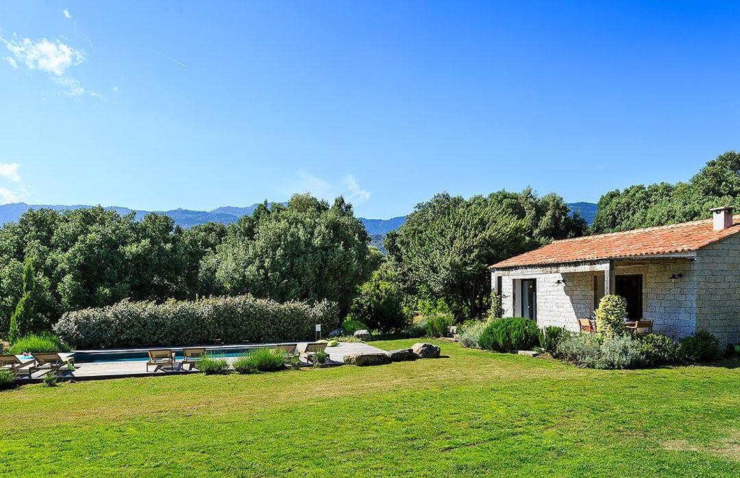 jardin bergerie contemporaine en Corse avec piscine