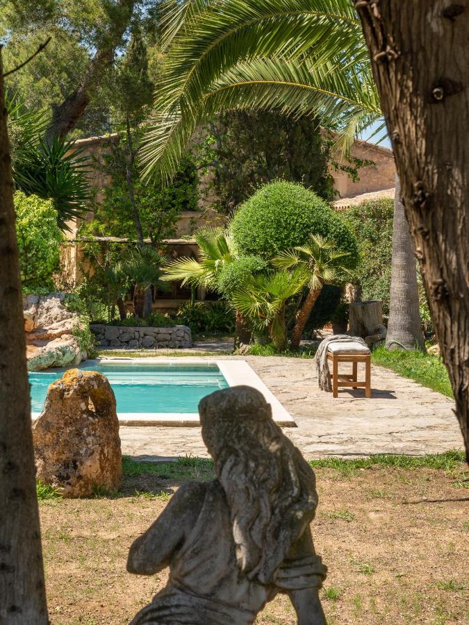 jardin maison rénovée avec piscine jardin maison rénovée avec piscine