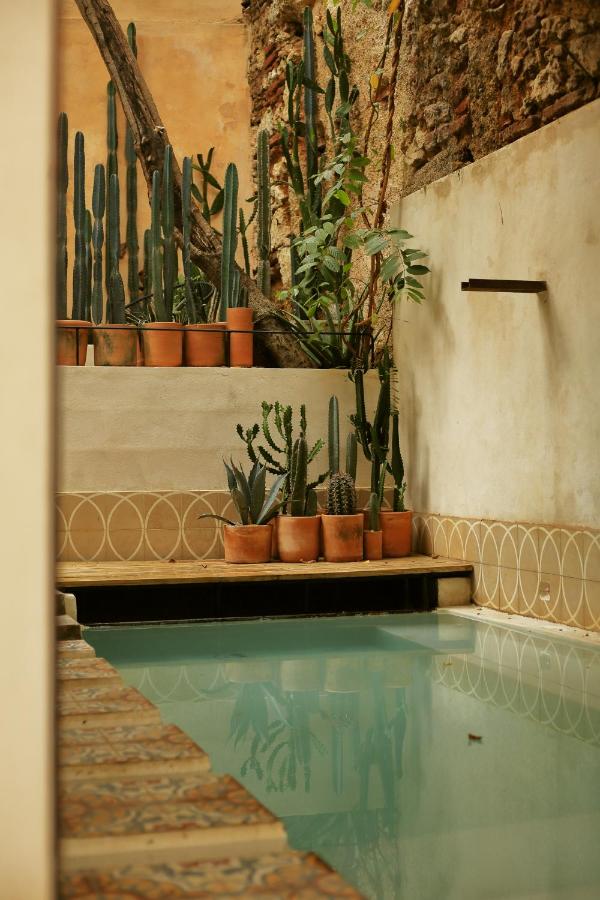 cour avec mini piscine