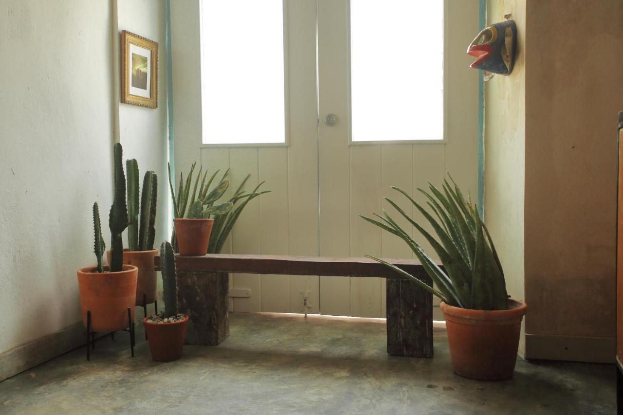entrée avec plantes vertes