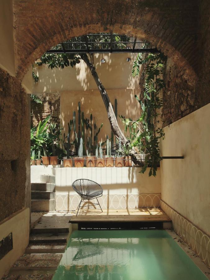 cour avec piscine