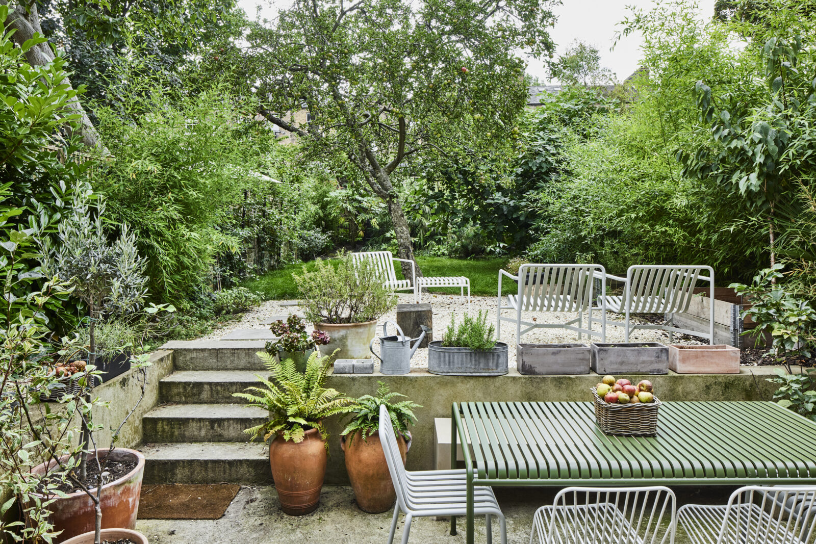 jardin maison de ville