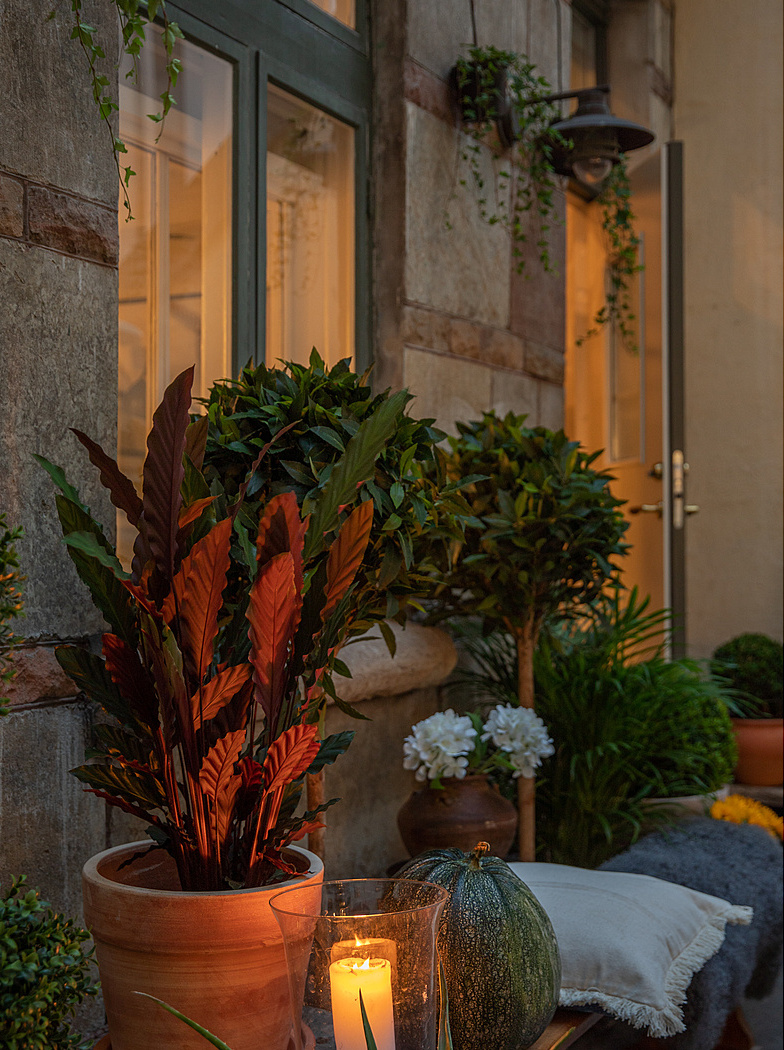 terrasse maison en pierre