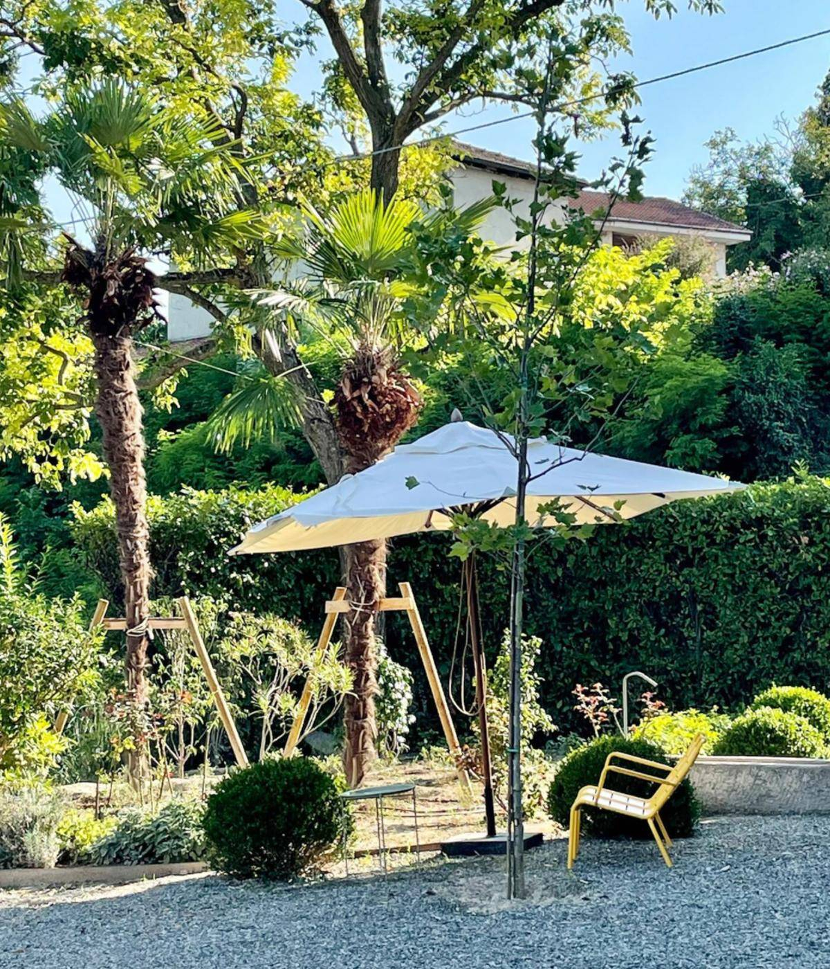 jardin maison rénovée avec piscine