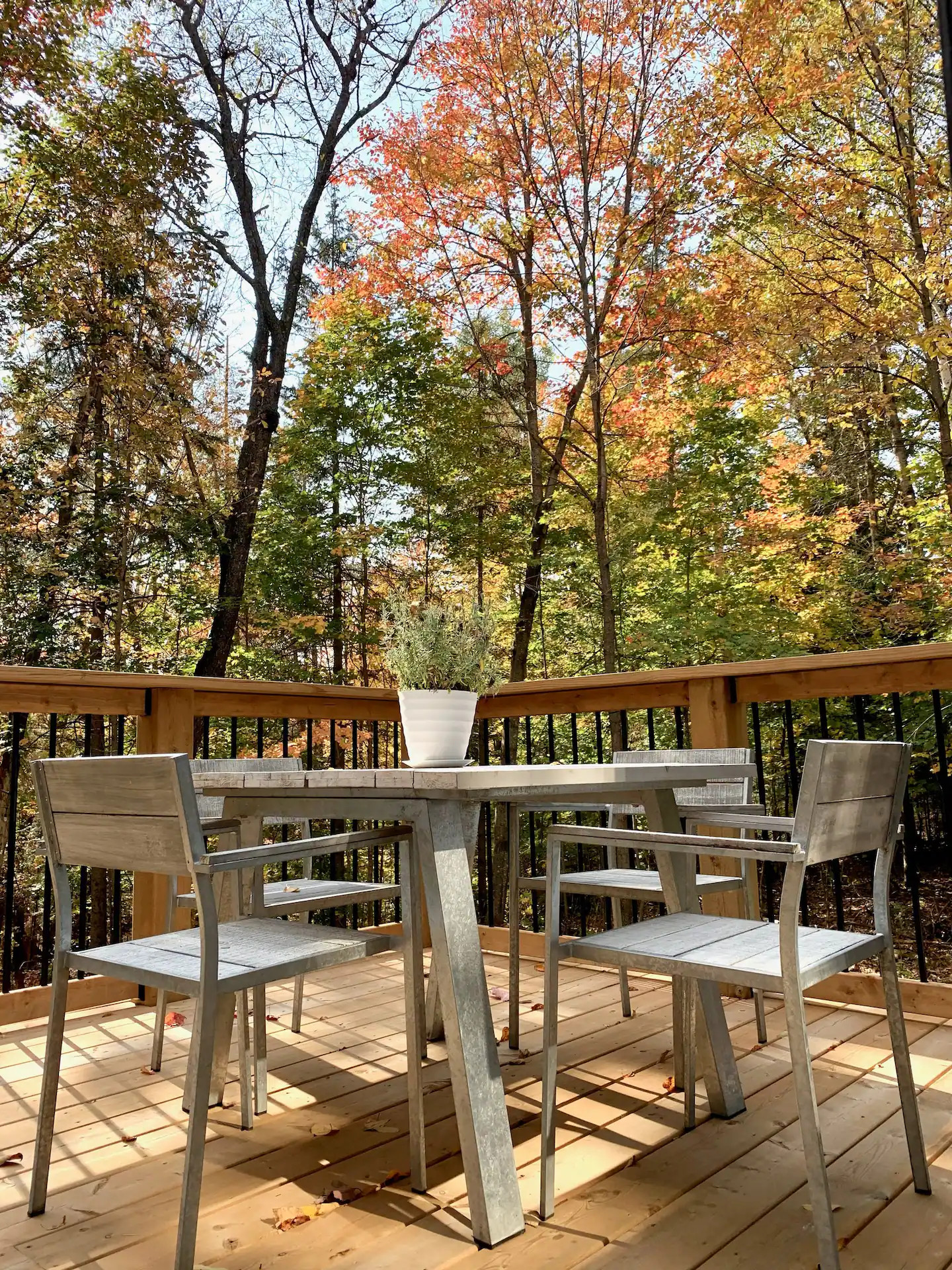 terrasse en bois terrasse en bois