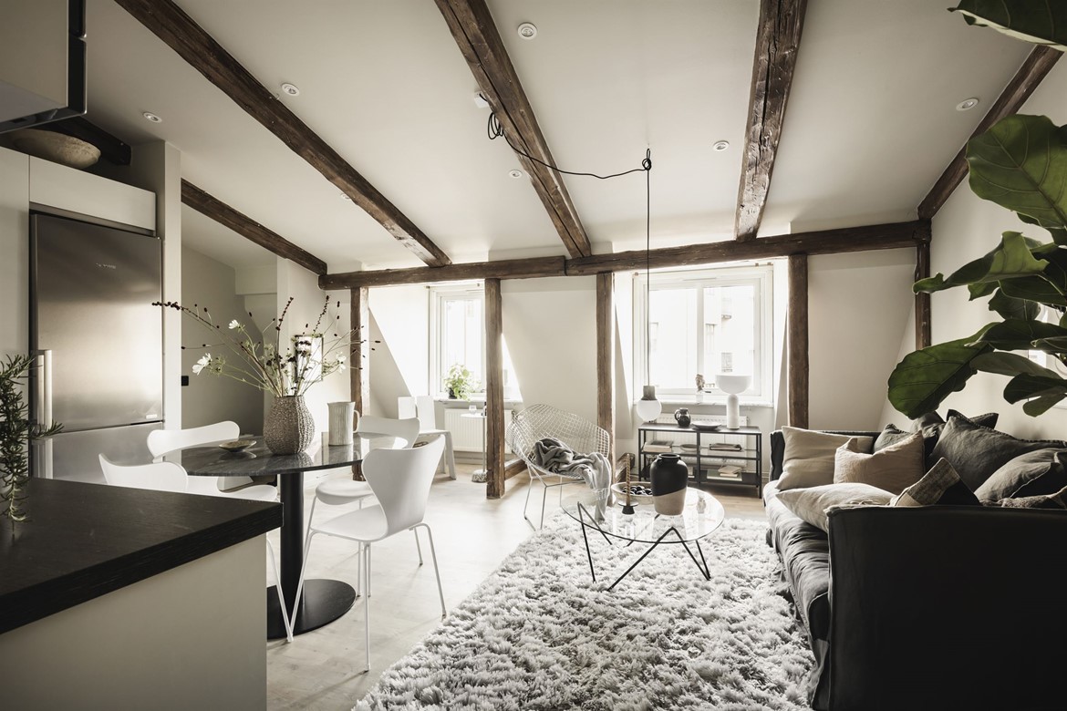 salon avec cuisine ouverte