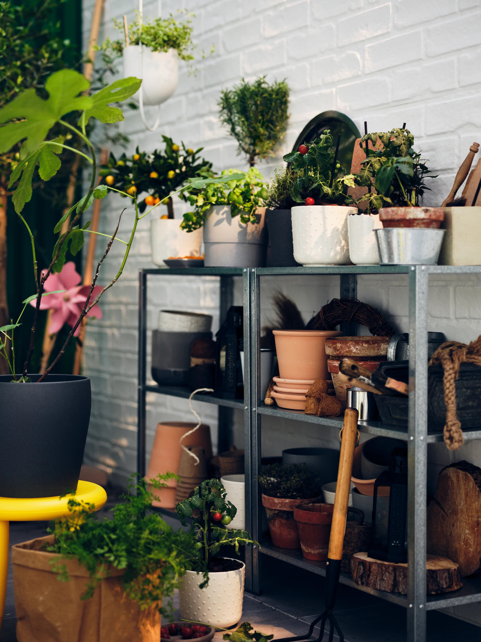 balcon avec plantes