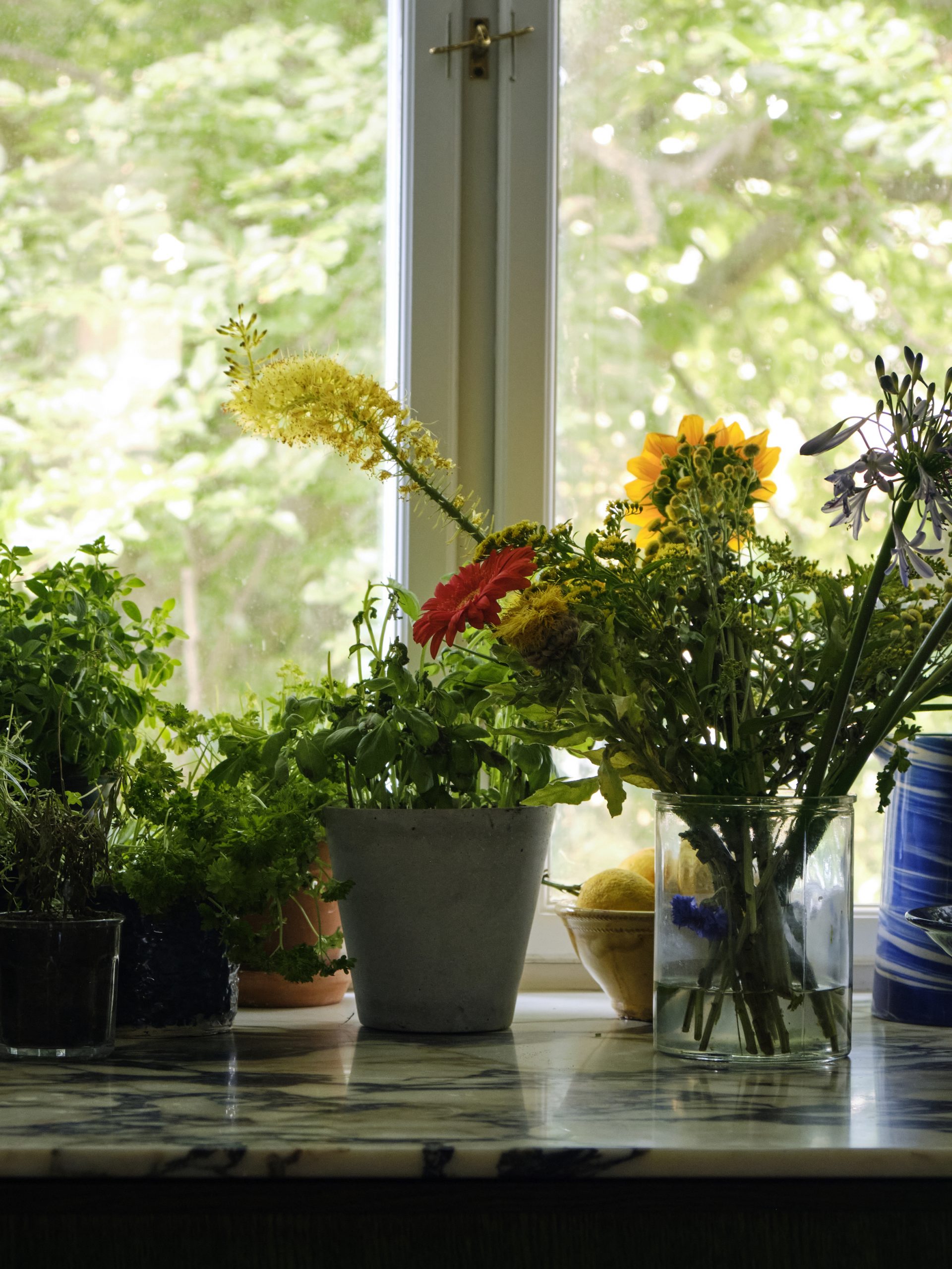 bord de fenêtre avec plantes bord de fenêtre avec plantes