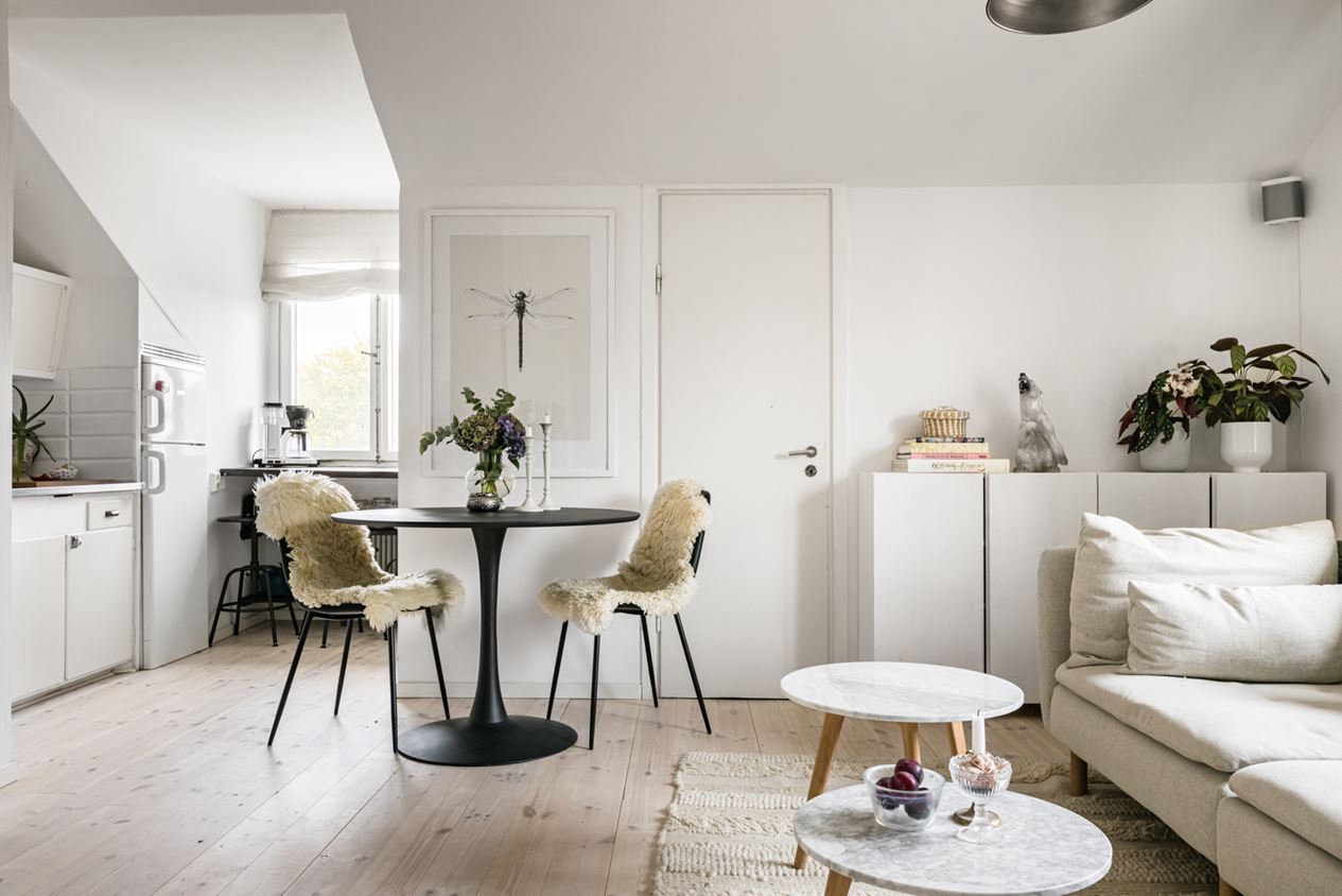 salon studio avec cuisine ouverte