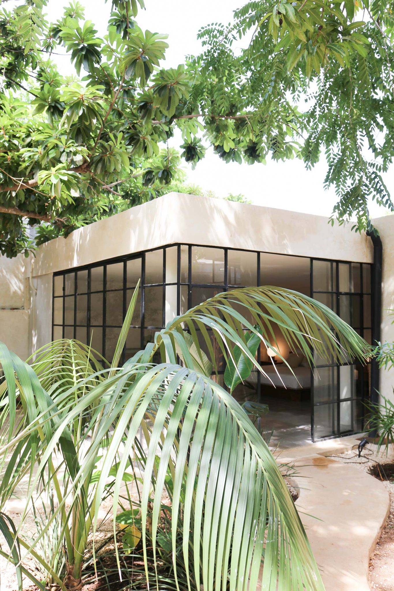 jardin maison Mexique