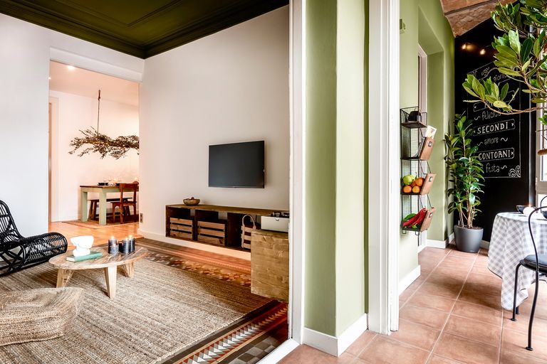 salon mur vert