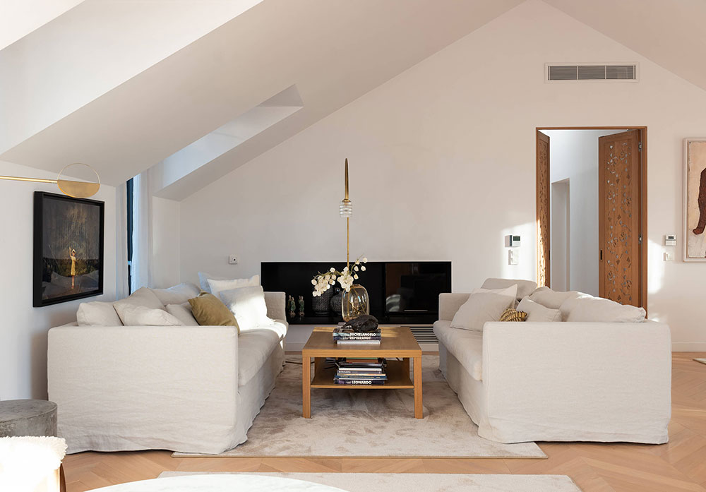 salon appartement design