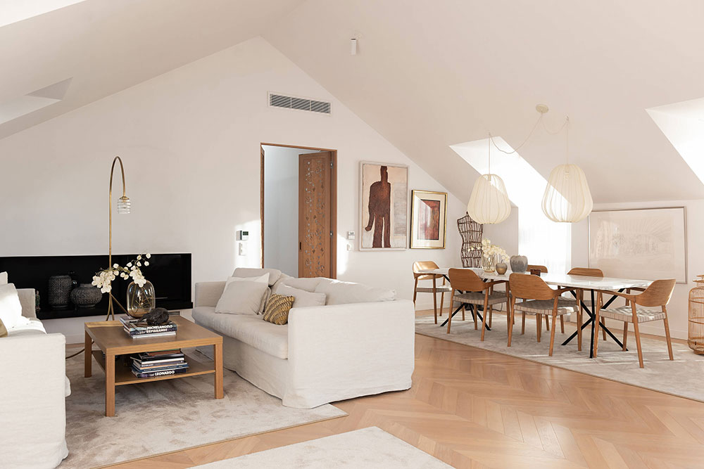 salon appartement design
