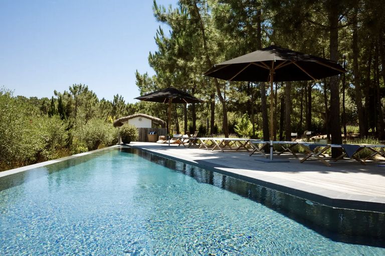 piscine et deck bois