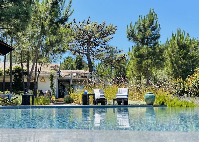 piscine et deck bois