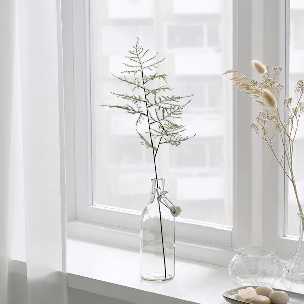 vase en verre avec asparagus vase en verre avec asparagus