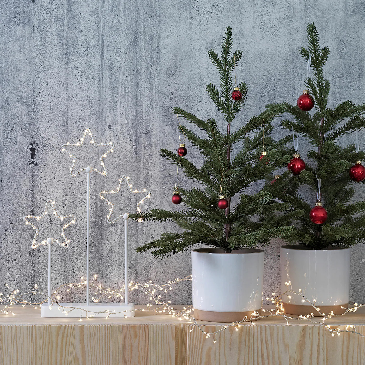 mini sapins dans pot mini sapins dans pot