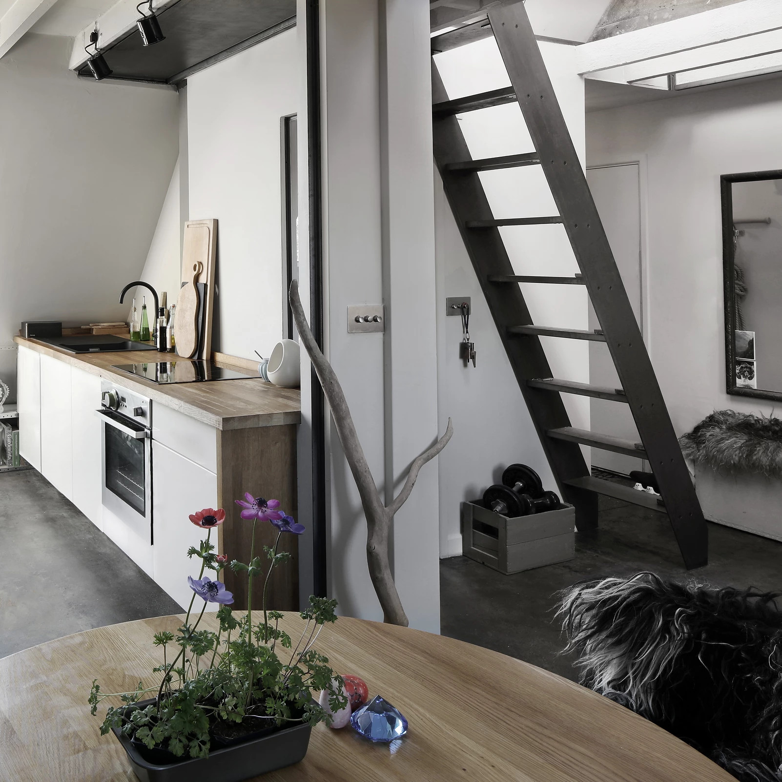 cuisine loft design