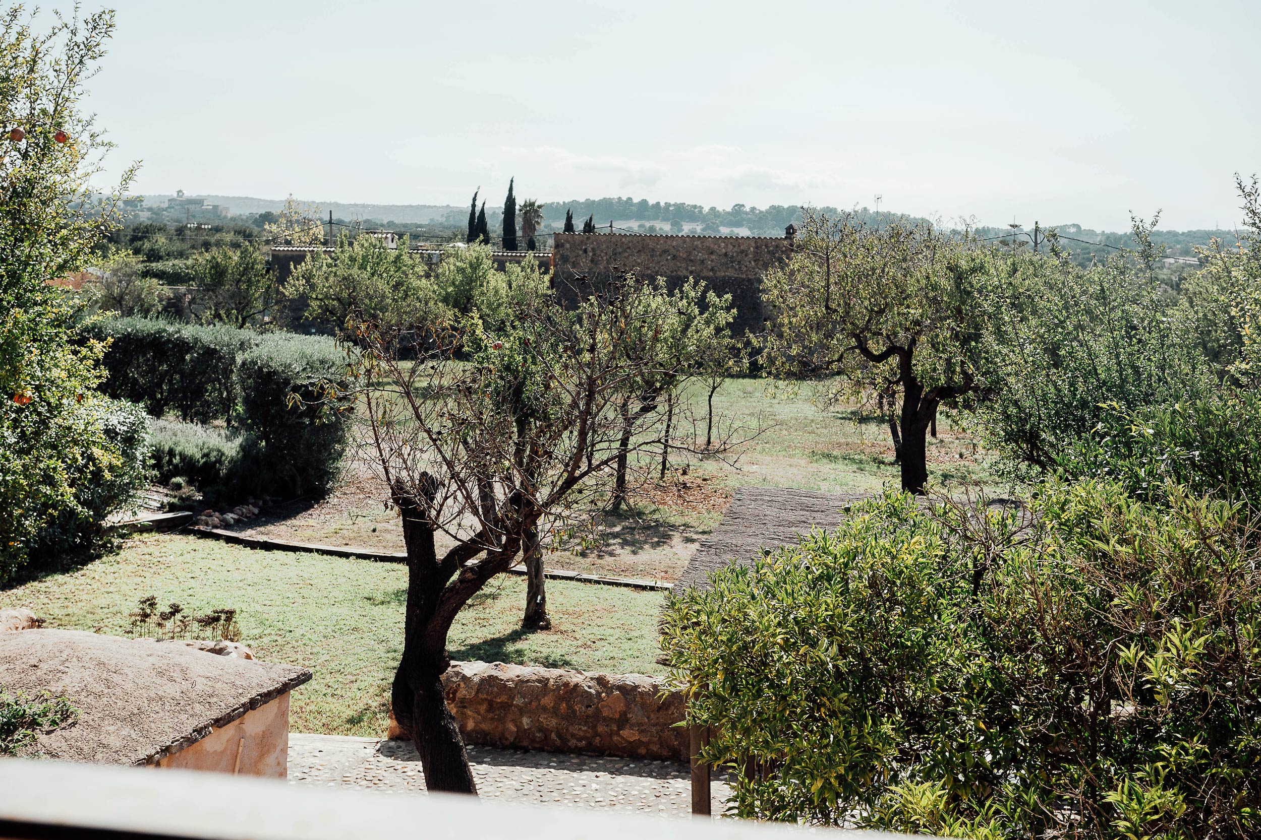 jardin maison Majorque