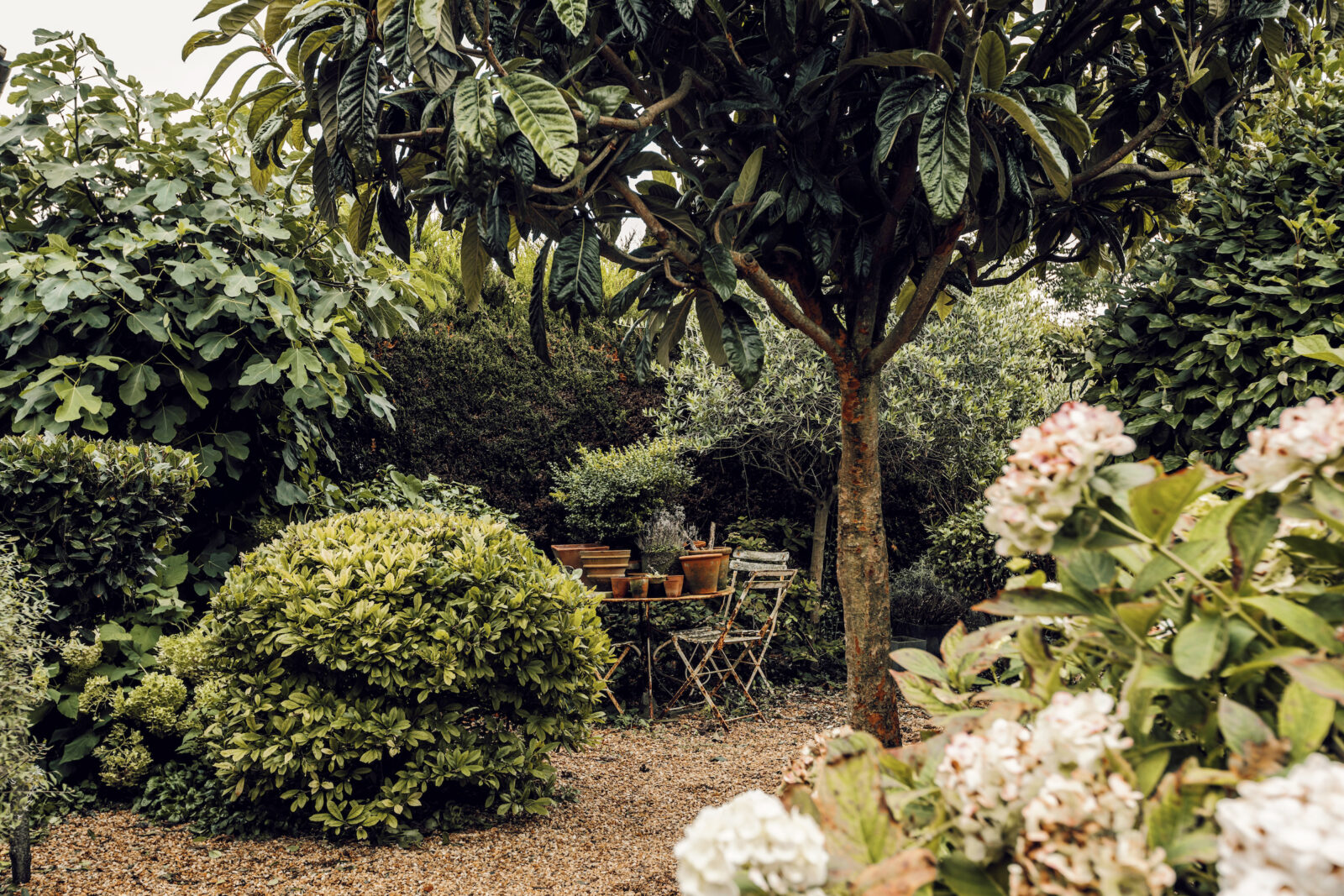 jardin en gravillons jardin en gravillons