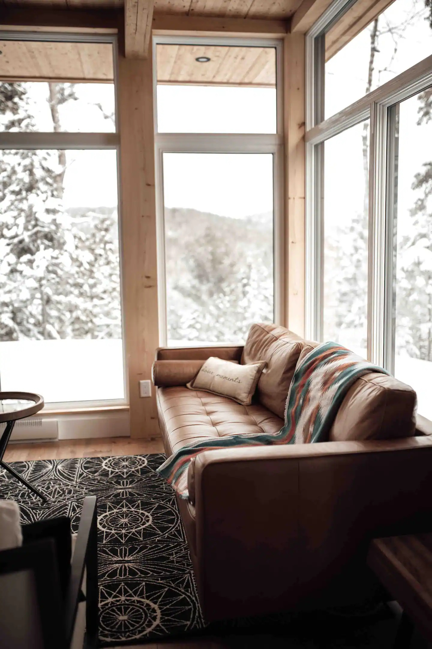 salon chalet contemporain