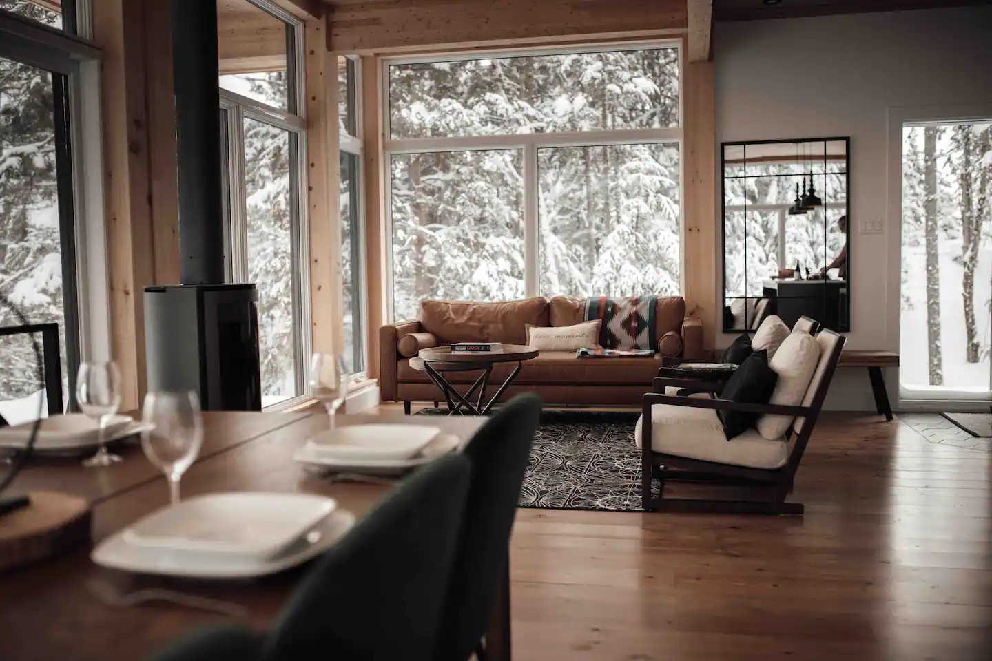 salon chalet contemporain
