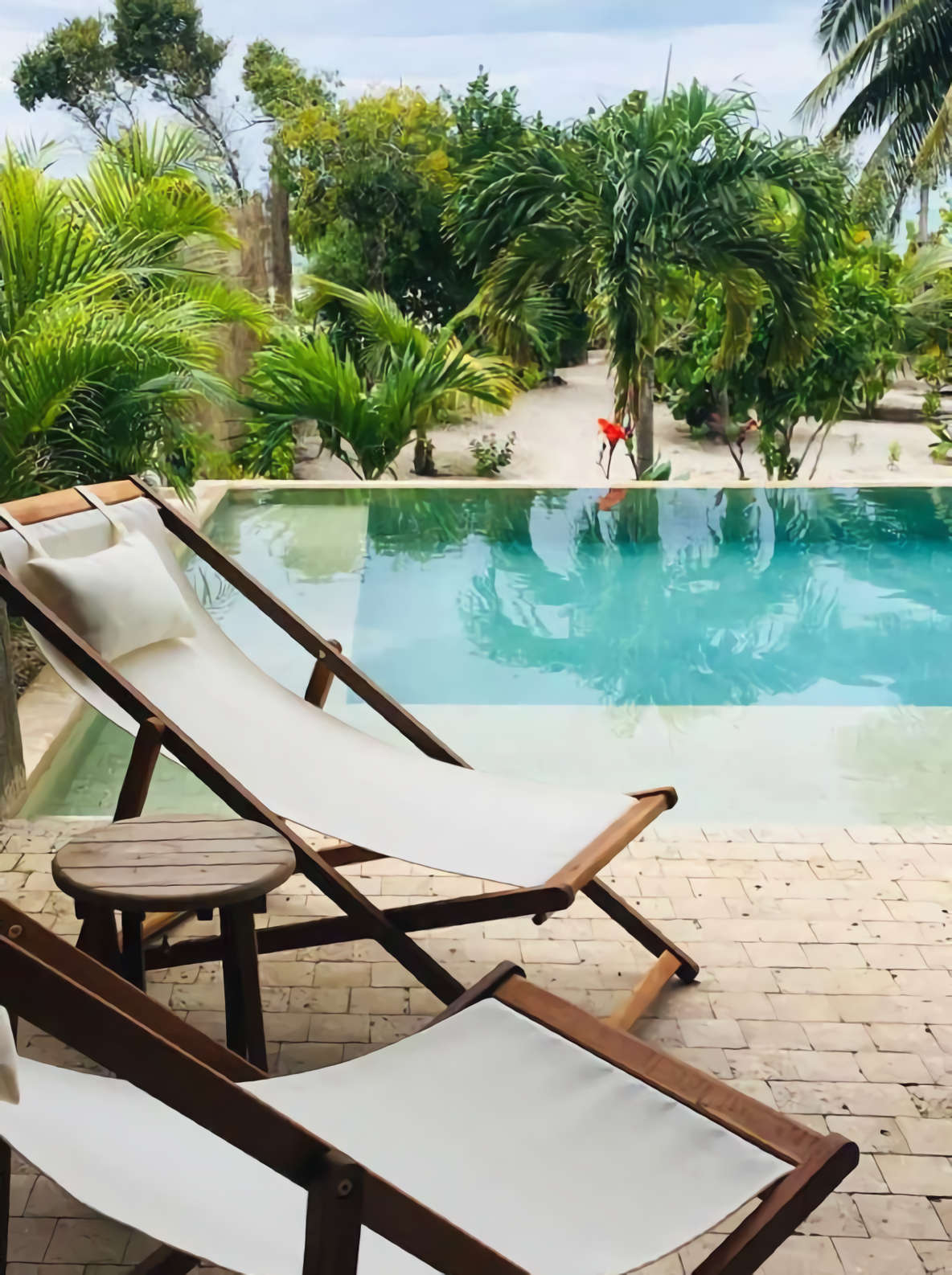 terrasse avec piscine et palmiers
