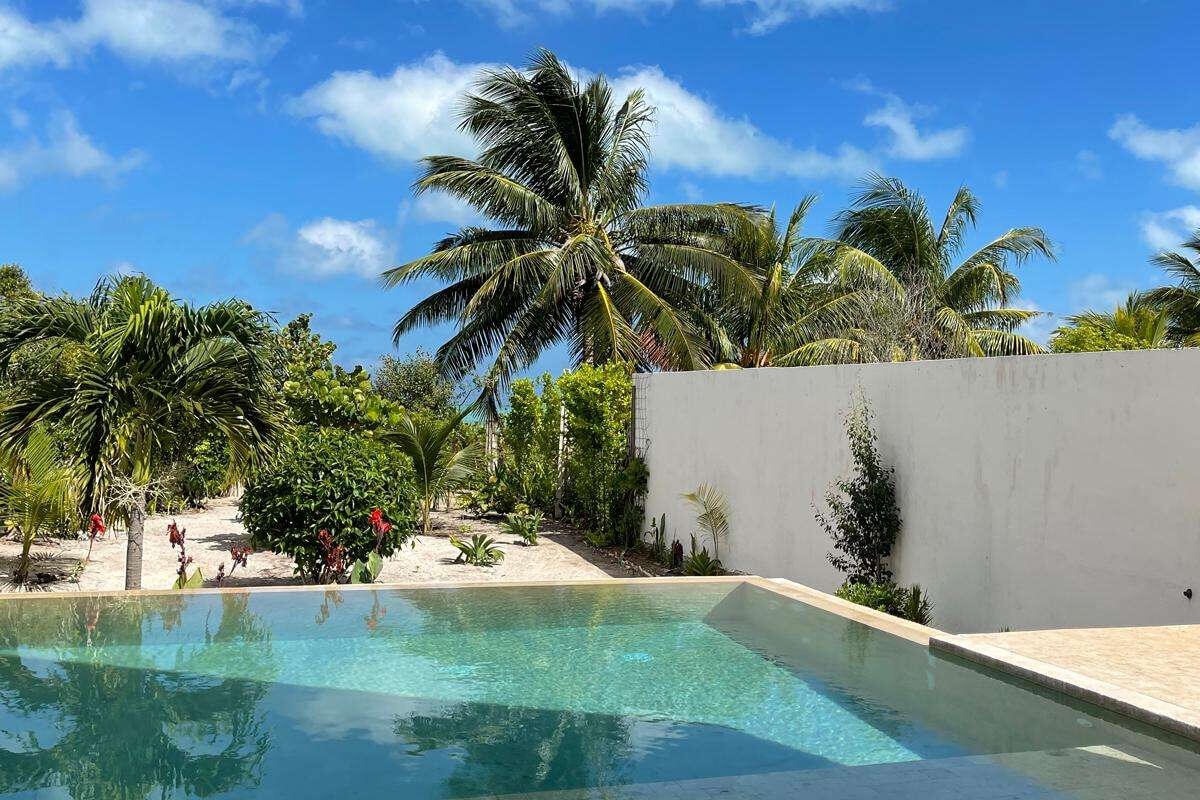 terrasse avec piscine et palmiers