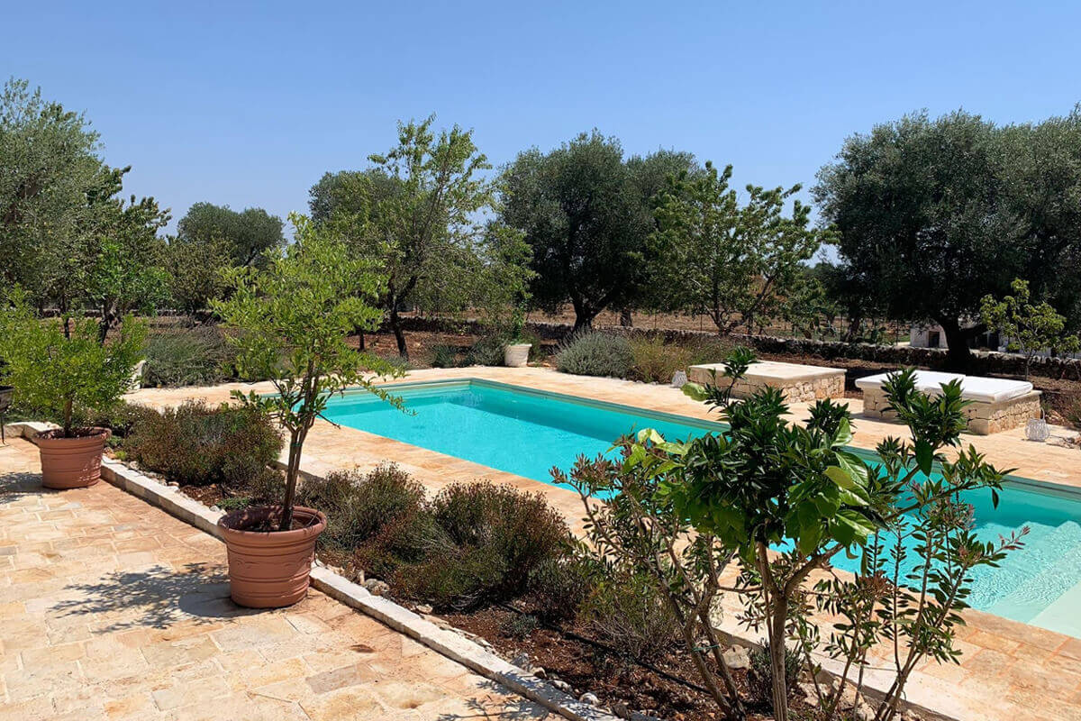 jardin avec piscine jardin avec piscine