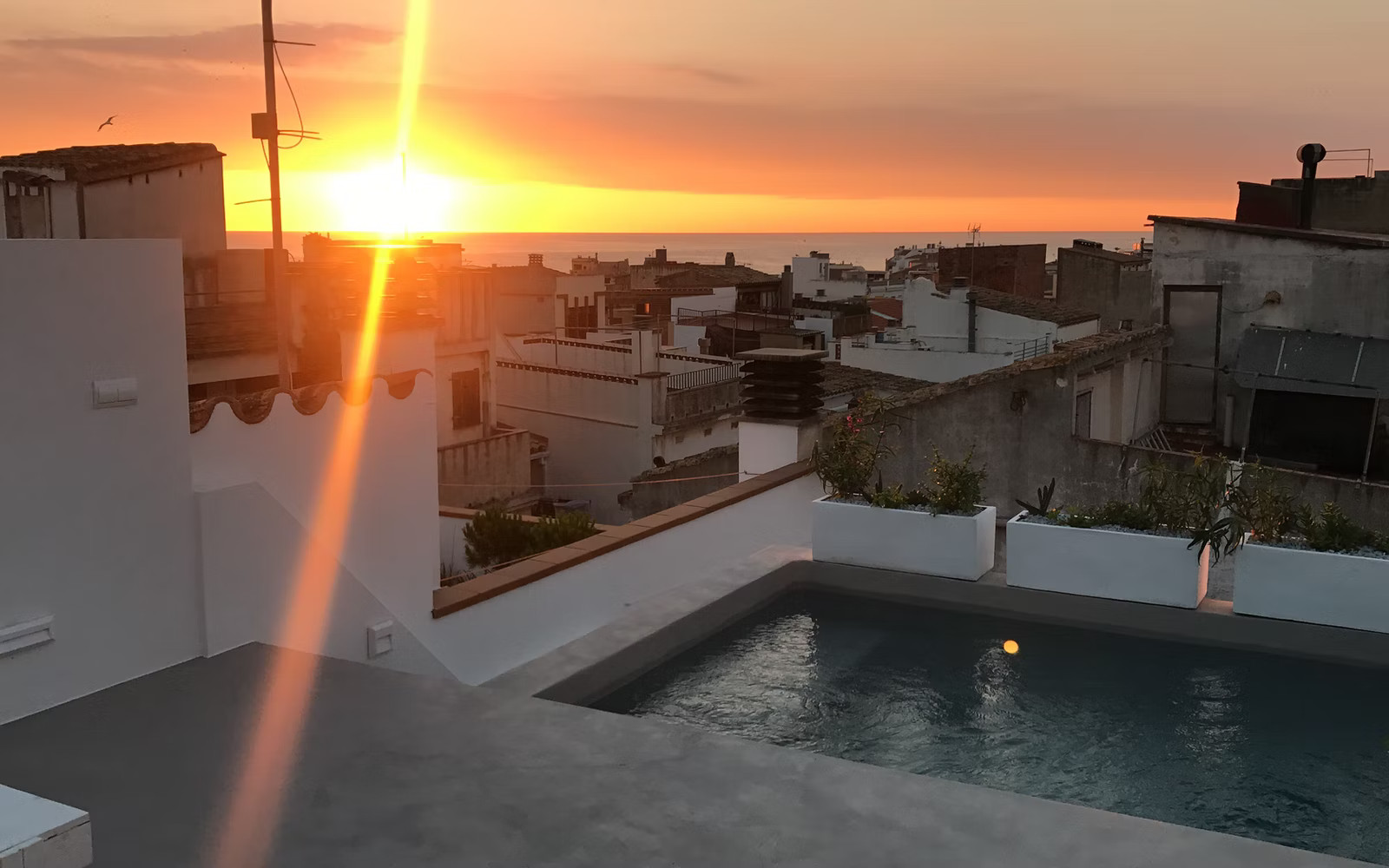 piscine sur terrasse sur le toit
