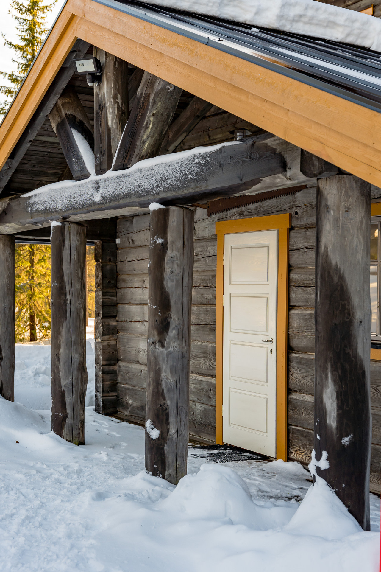 façade chalet contemporain